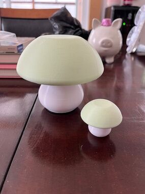 Mushroom Pill Organizer - 7 Day Weekly Vitamins